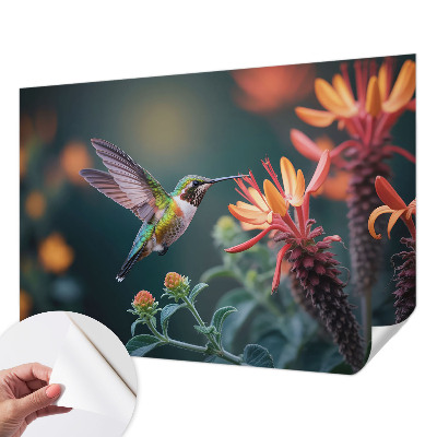 Papier peint tendance salon Kvety kolibríka