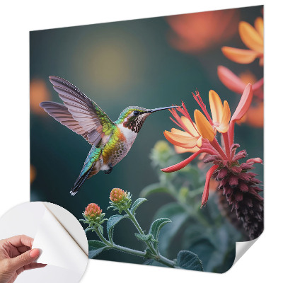 Papier peint tendance salon Kvety kolibríka