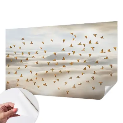 Papier peint photo sur tissu non tissé Oiseaux en vol