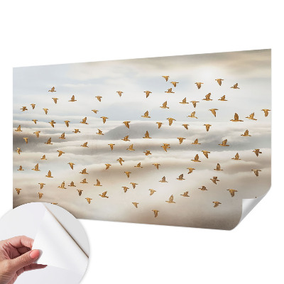 Papier peint tendance salon Vtáky za letu