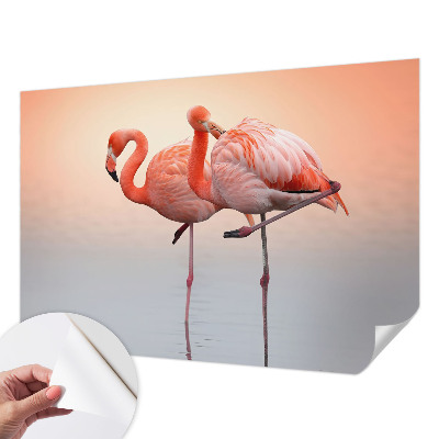 Papier peint tendance chambre adulte Jemné plameniaky