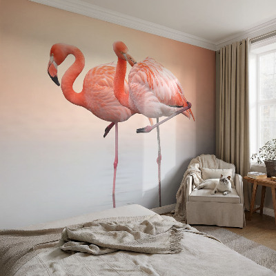 Papier peint tendance chambre adulte Jemné plameniaky