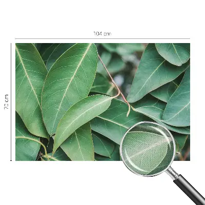 Papier peint photo grand format pour le mur Feuilles vertes