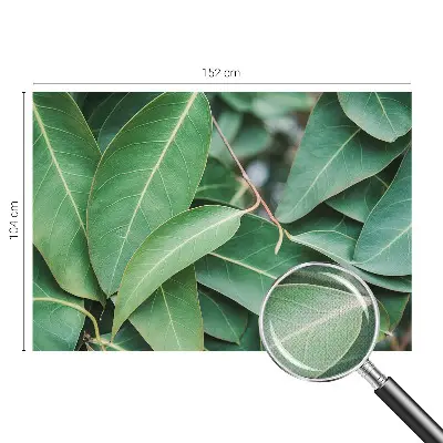Papier peint photo grand format pour le mur Feuilles vertes