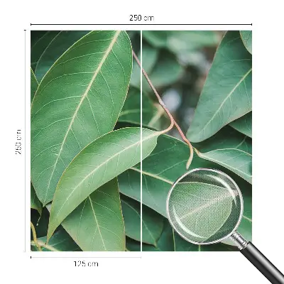 Papier peint photo grand format pour le mur Feuilles vertes