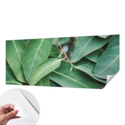 Papier peint photo grand format pour le mur Feuilles vertes