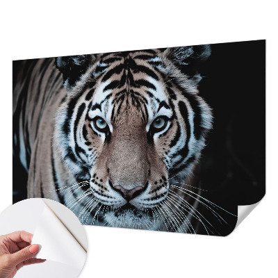 Papier peint chambre garçon Portrét tigra