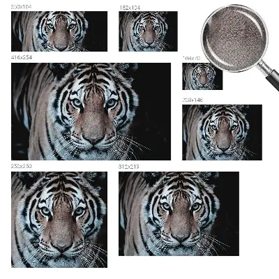 Papier peint intissé imprimé Portrait du tigre