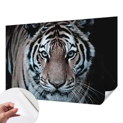 Papier peint intissé imprimé Portrait du tigre