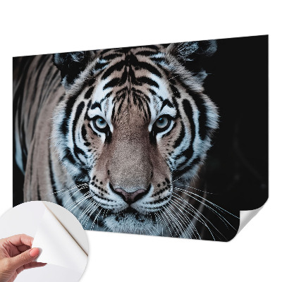 Papier peint chambre garçon Portrét tigra