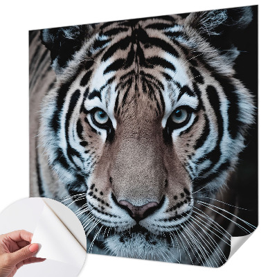 Papier peint chambre garçon Portrét tigra