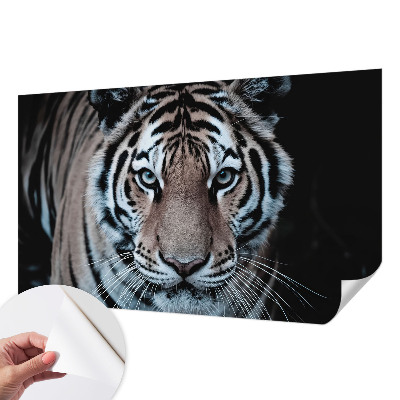 Papier peint chambre garçon Portrét tigra