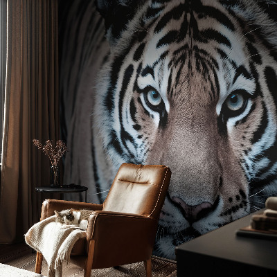 Papier peint chambre garçon Portrét tigra