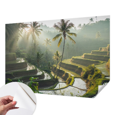 Papier peint tendance chambre adulte Rajské terasy