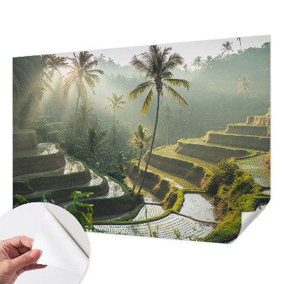 Papier peint tendance chambre adulte Rajské terasy