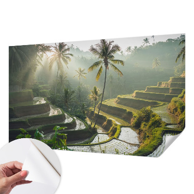 Papier peint tendance chambre adulte Rajské terasy