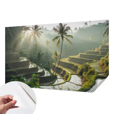 Papier peint photographique intissé Terrasses paradisiaques