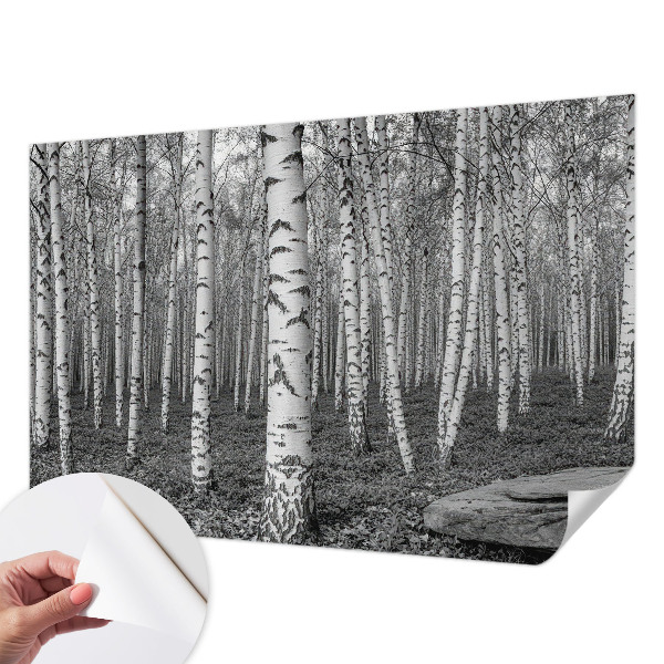 Papier peint panoramique pas cher Brezový les