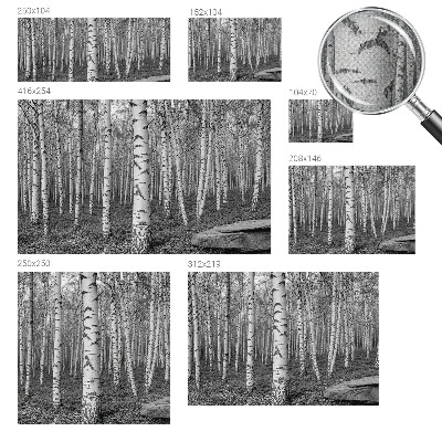 Papier peint panoramique pas cher Brezový les