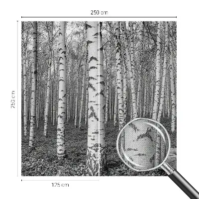 Papier peint intissé imprimé forêt de bouleaux
