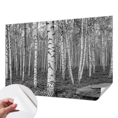 Papier peint panoramique pas cher Brezový les