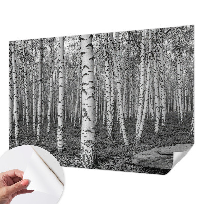 Papier peint panoramique pas cher Brezový les