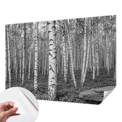 Papier peint intissé imprimé forêt de bouleaux
