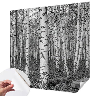 Papier peint panoramique pas cher Brezový les
