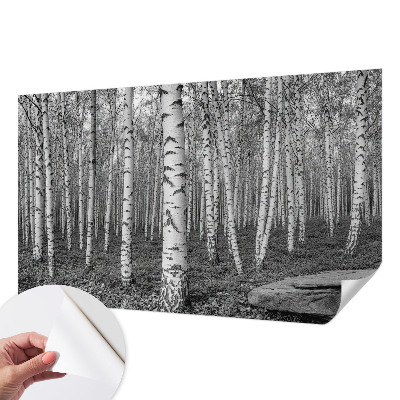 Papier peint panoramique pas cher Brezový les