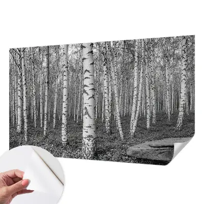 Papier peint intissé imprimé forêt de bouleaux