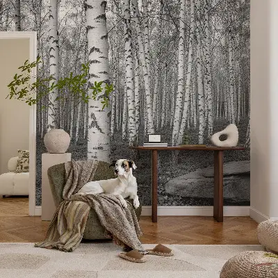 Papier peint intissé imprimé forêt de bouleaux