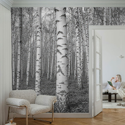 Papier peint panoramique pas cher Brezový les