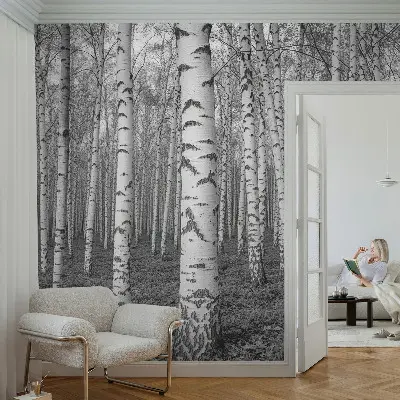 Papier peint intissé imprimé forêt de bouleaux
