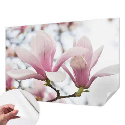 Papier peint intissé imprimé fleurs de magnolia
