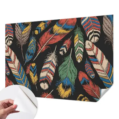 Papier peint photo grand format pour le mur plumes colorées