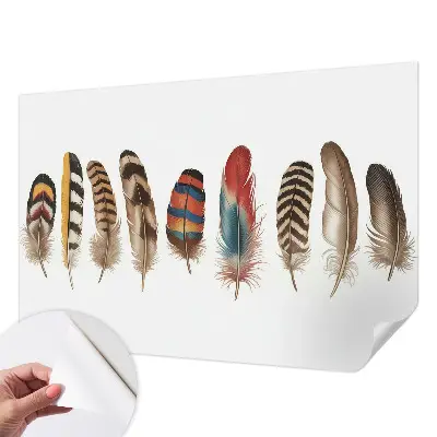 Papier peint photo sur tissu non tissé plumes colorées