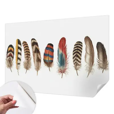 Papier peint photo sur tissu non tissé plumes colorées