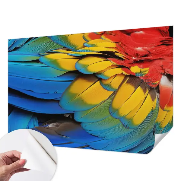 Papier peint photo sur tissu non tissé Plumes arc-en-ciel