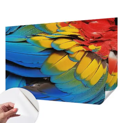 Papier peint photo sur tissu non tissé Plumes arc-en-ciel