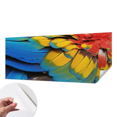 Papier peint photo sur tissu non tissé Plumes arc-en-ciel