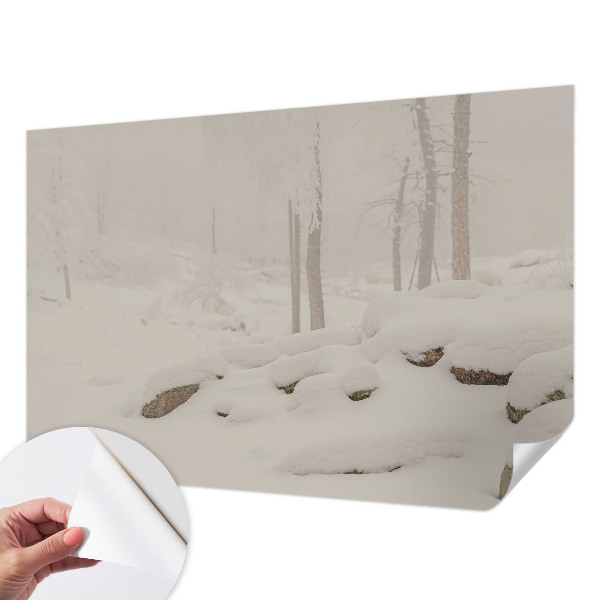 Papier peint panoramique adhésif Zasnežený les