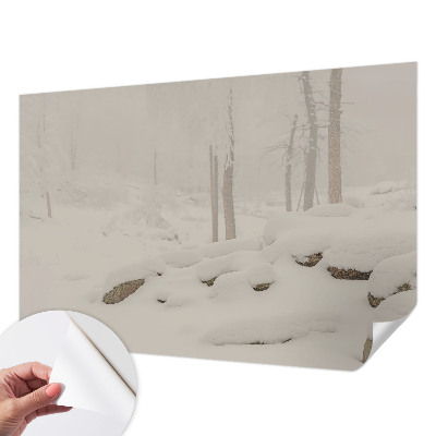 Papier peint panoramique adhésif Zasnežený les