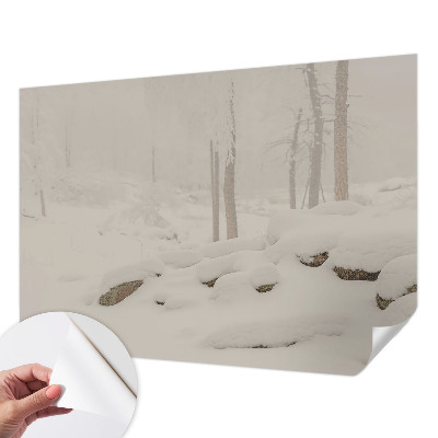 Papier peint panoramique adhésif Zasnežený les