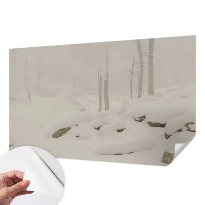 Papier peint photo grand format pour le mur Forêt enneigée