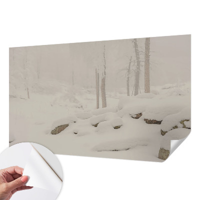 Papier peint panoramique adhésif Zasnežený les