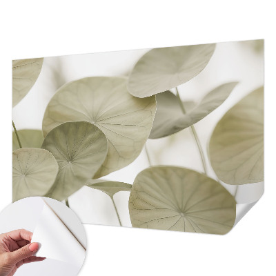 Papier peint chambre garçon Prirodzená elegancia