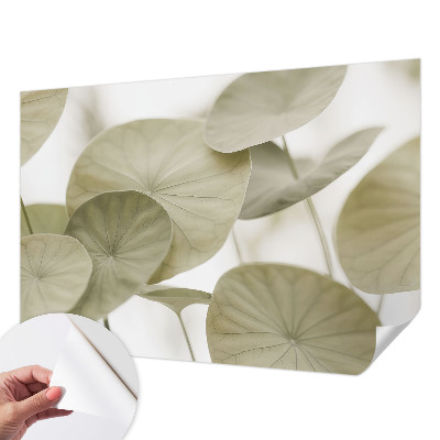 Papier peint chambre garçon Prirodzená elegancia