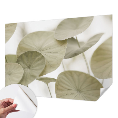 Papier peint chambre garçon Prirodzená elegancia