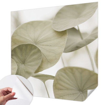 Papier peint chambre garçon Prirodzená elegancia