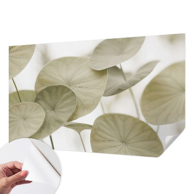 Papier peint chambre garçon Prirodzená elegancia